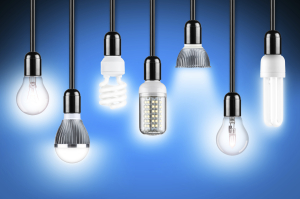 variety of types of lightbulbs hanging